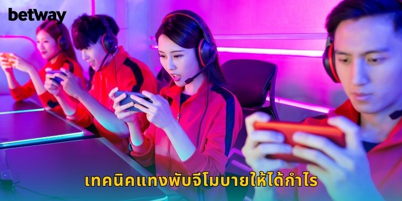 เดิมพันทีมชนะและอันดับสูงสุด
