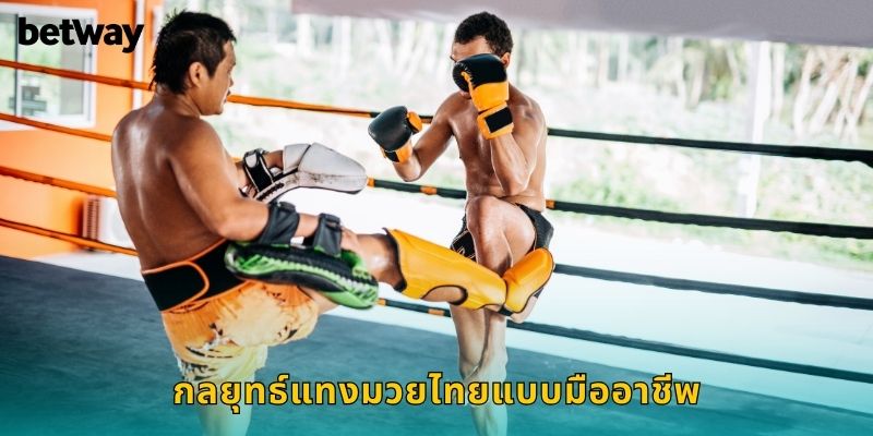 กลยุทธ์แทงมวยไทยแบบมืออาชีพ